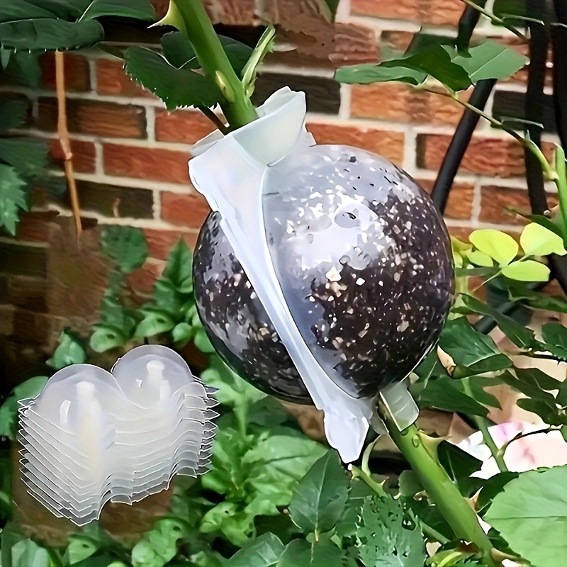 Plant Parent - 10個入り植物繁殖ボックスセット、高圧接木・挿し木・発根キット（樹木の枝用、圧力ボール付き）