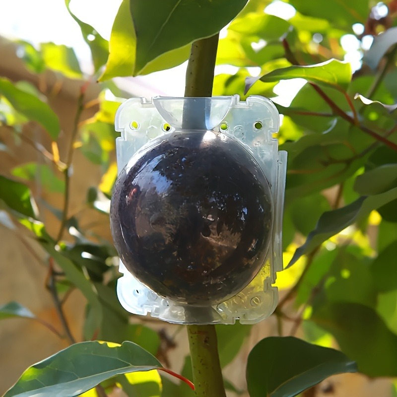 10個入り植物繁殖ボックスセット、高圧接木・挿し木・発根キッ - Plant Parent のレビューと価格