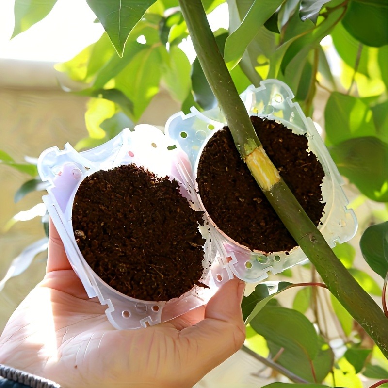 10個入り植物繁殖ボックスセット、高圧接木・挿し木・発根キッ - Plant Parent のレビューと価格