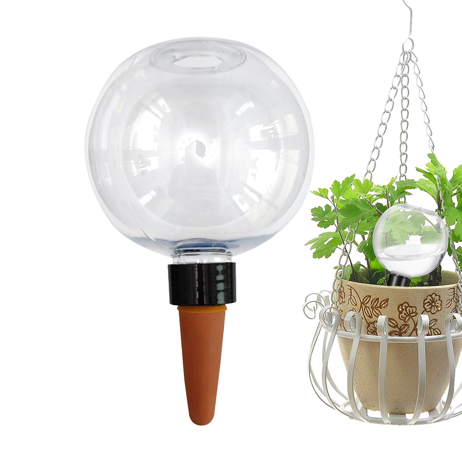 500ml自動植物散水球ガラス球プランターインサート簡単自動 - Plant Parent のレビューと価格