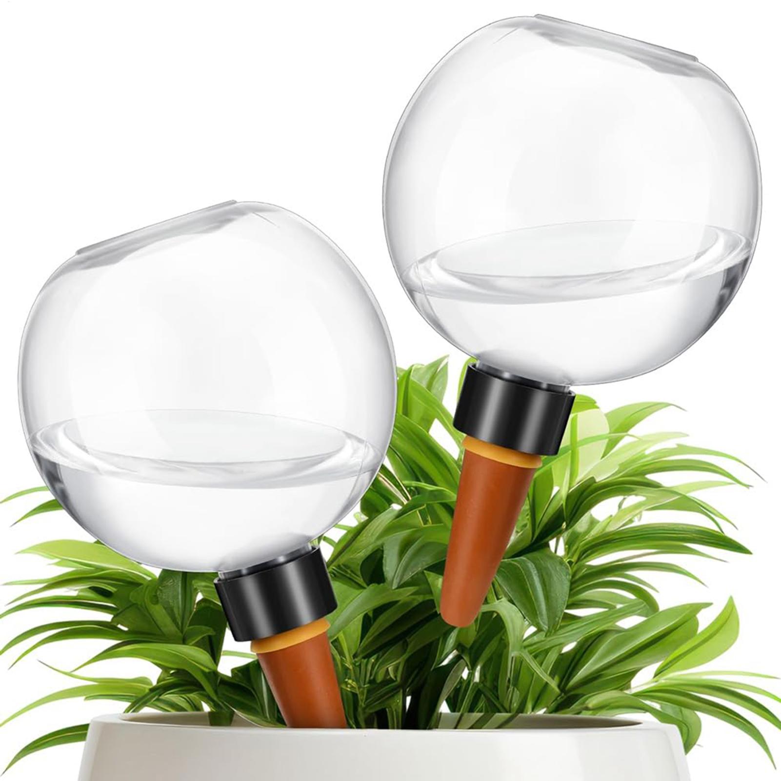 500ml自動植物散水球ガラス球プランターインサート簡単自動 - Plant Parent のレビューと価格