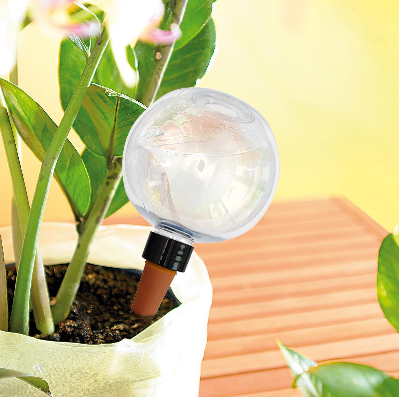 500ml自動植物散水球ガラス球プランターインサート簡単自動 - Plant Parent のレビューと価格