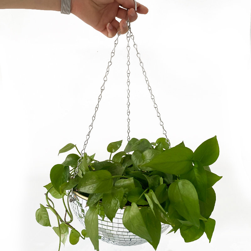 ディスコミラーボールハンギングフラワーポット、多肉植物鉢、室 - Plant Parent のレビューと価格